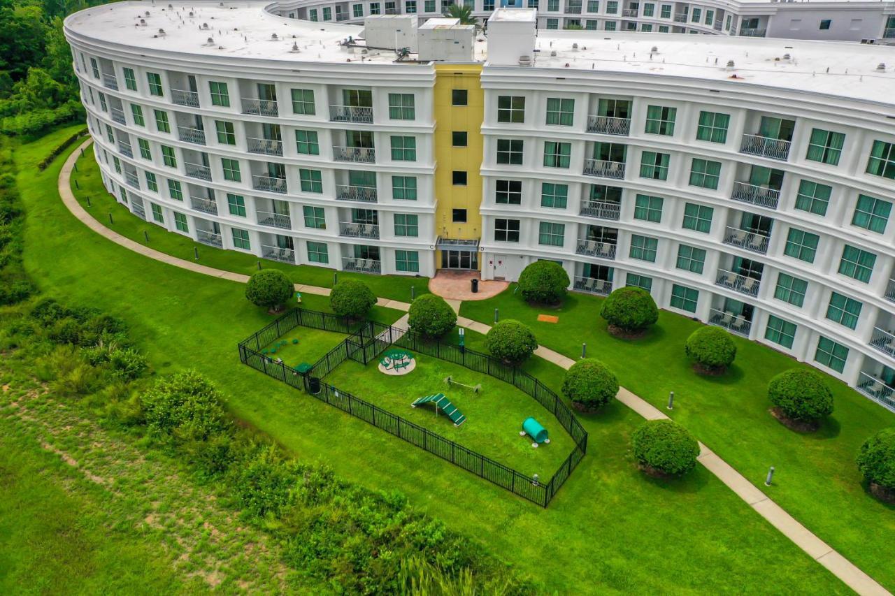 Pet Friendly In Orlando Area Near Disney Celebration Esterno foto